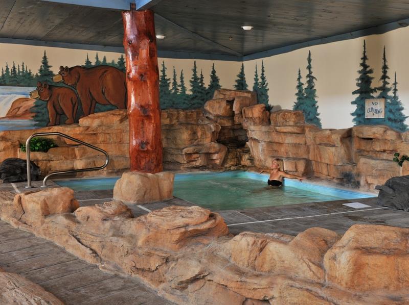 Stoney Creek Hotel St. Joseph Kemudahan gambar